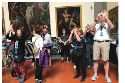 zebra at the louvre