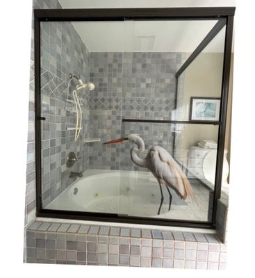 bird bath