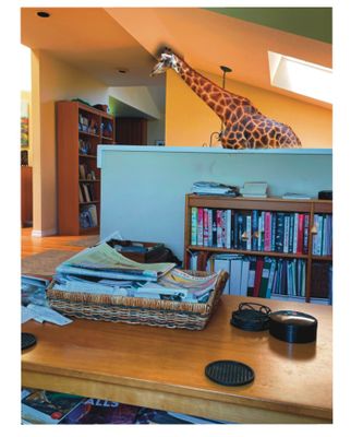 giraffe entrance