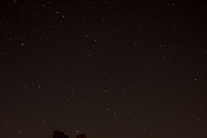 Andromeda