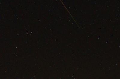 Perseid, close up of previous image