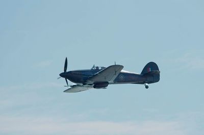 DSC_9654  1024.jpg