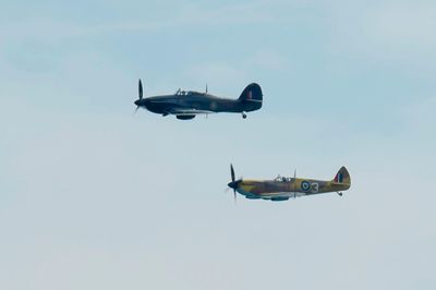 DSC_9875  1024.jpg