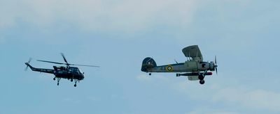 Swordfish and Wasp, Navy Wings