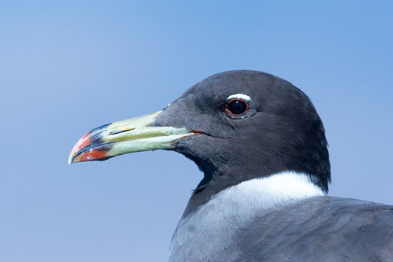 _GP_8951.jpg
