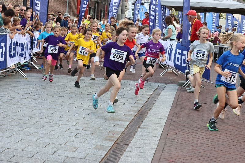 singelloop 20250003yaks.jpg