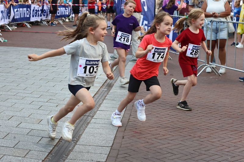 singelloop 20250007yaks.jpg