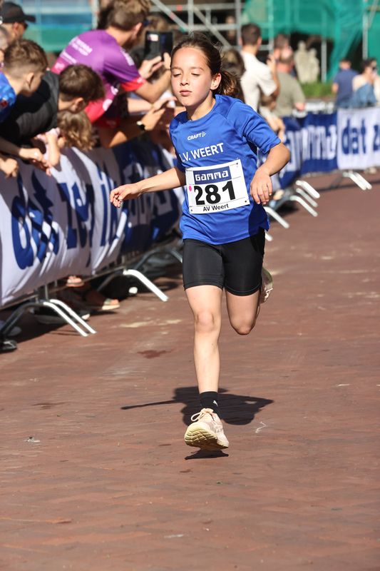 singelloop 20250008yaks.jpg
