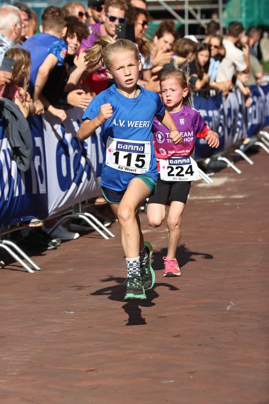 singelloop 20250009yaks.jpg