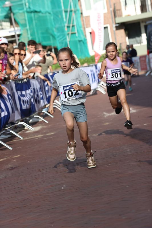 singelloop 20250011yaks.jpg