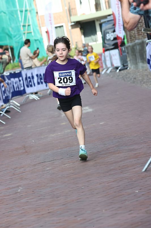 singelloop 20250013yaks.jpg