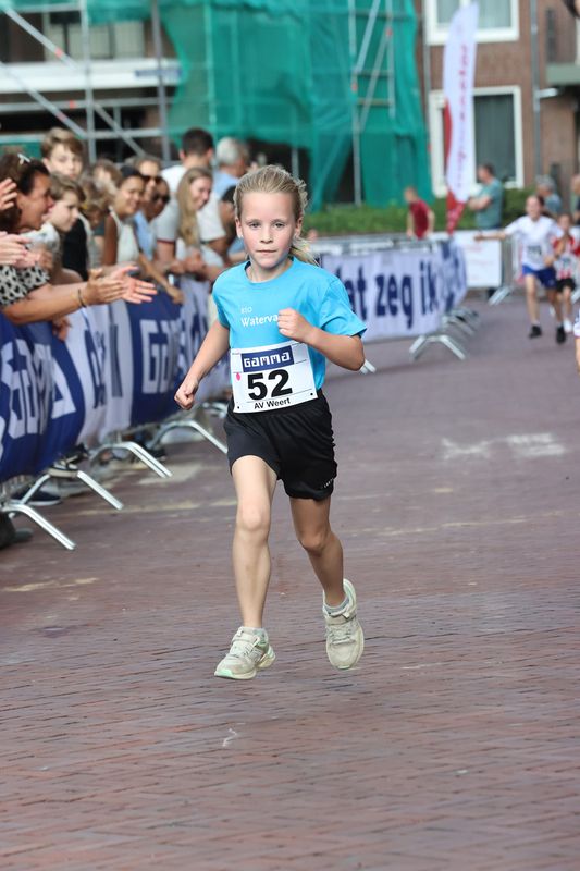 singelloop 20250024yaks.jpg