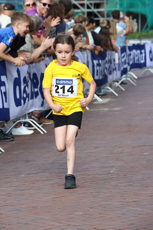 singelloop 20250027yaks.jpg
