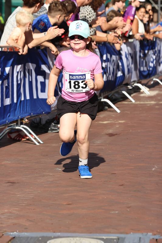 singelloop 20250031yaks.jpg