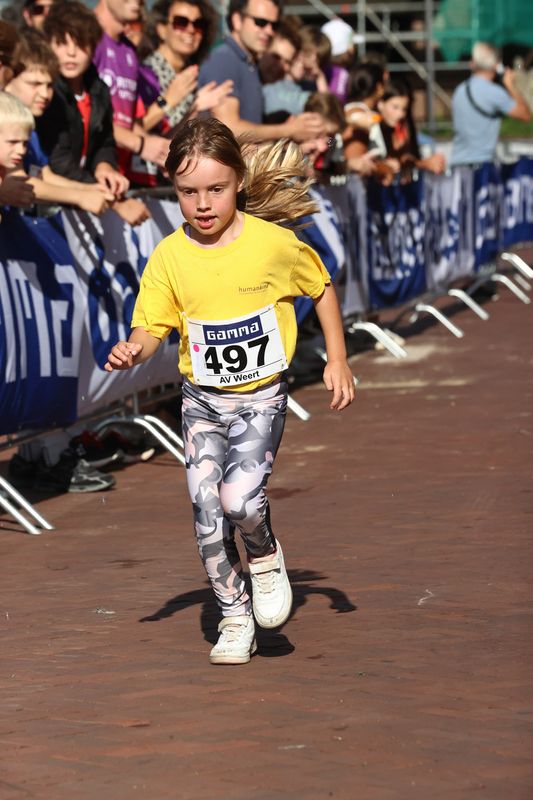 singelloop 20250032yaks.jpg