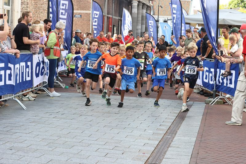 singelloop 20250034yaks.jpg