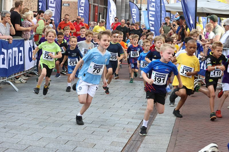 singelloop 20250036yaks.jpg