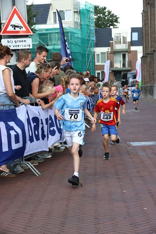 singelloop 20250041yaks.jpg