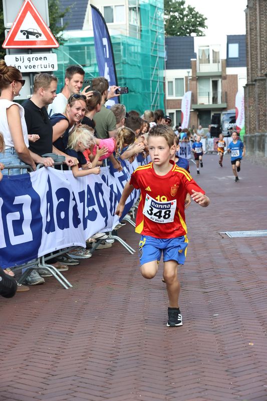 singelloop 20250042yaks.jpg