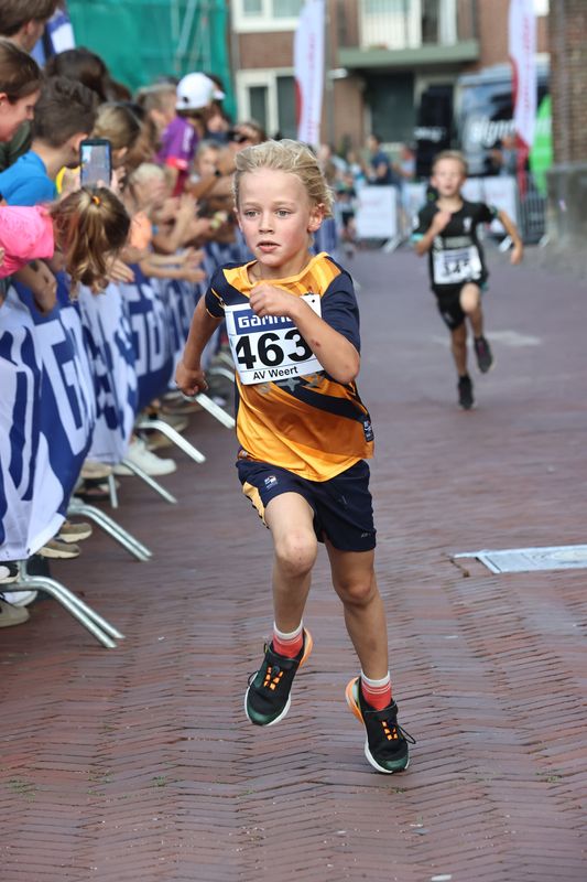 singelloop 20250045yaks.jpg