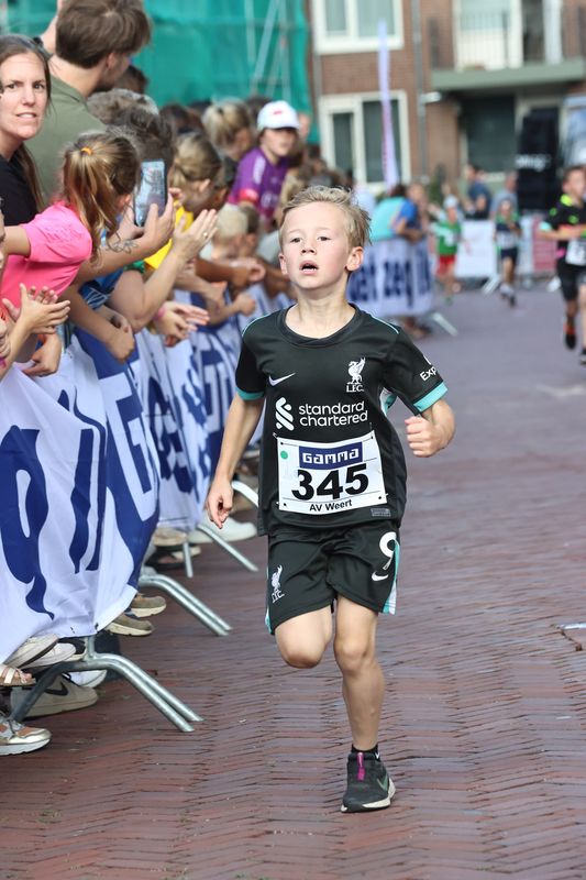 singelloop 20250046yaks.jpg