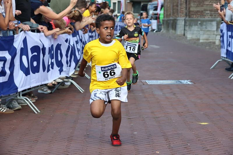 singelloop 20250049yaks.jpg
