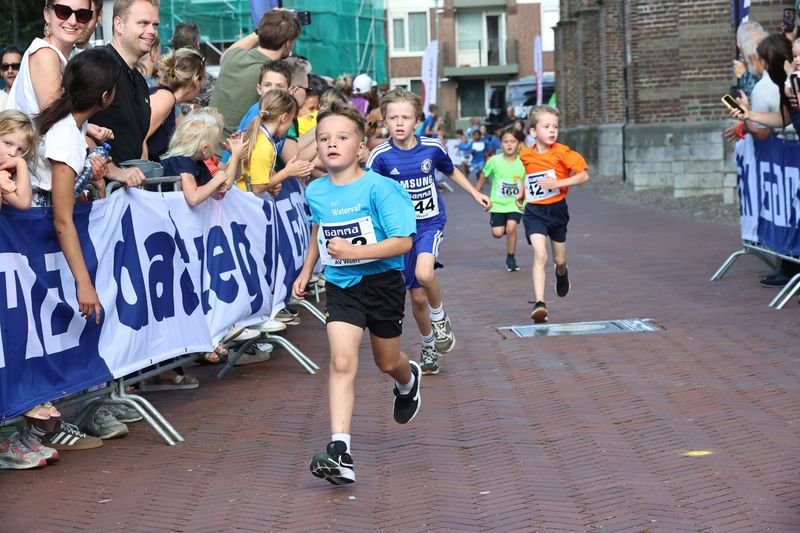 singelloop 20250055yaks.jpg
