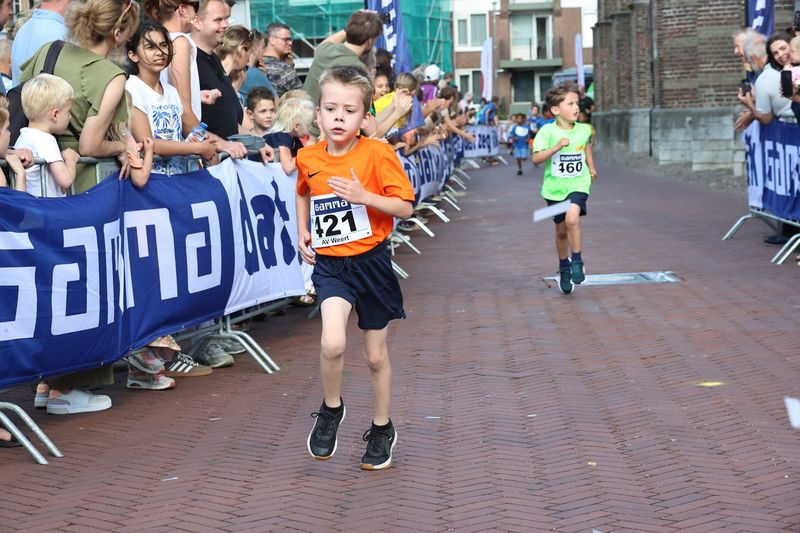 singelloop 20250056yaks.jpg