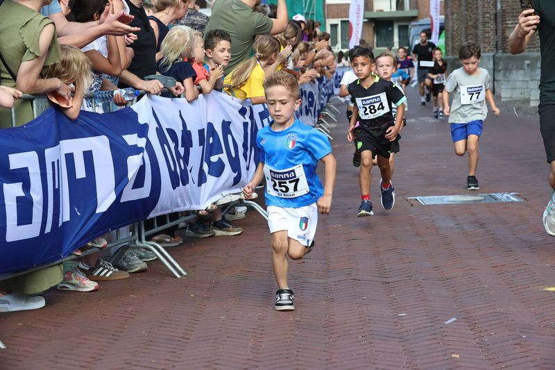 singelloop 20250060yaks.jpg