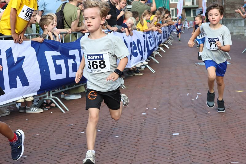singelloop 20250061yaks.jpg