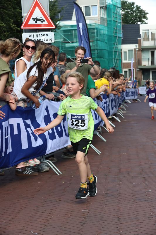 singelloop 20250068yaks.jpg