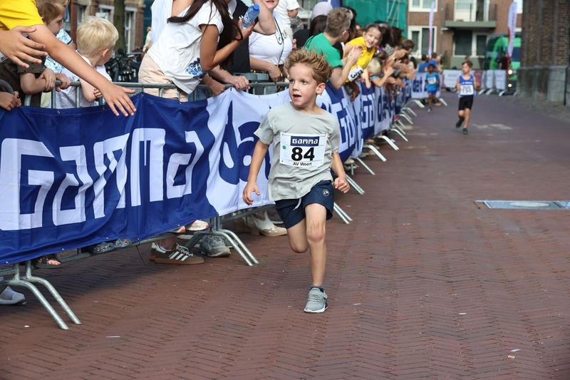 singelloop 20250071yaks.jpg