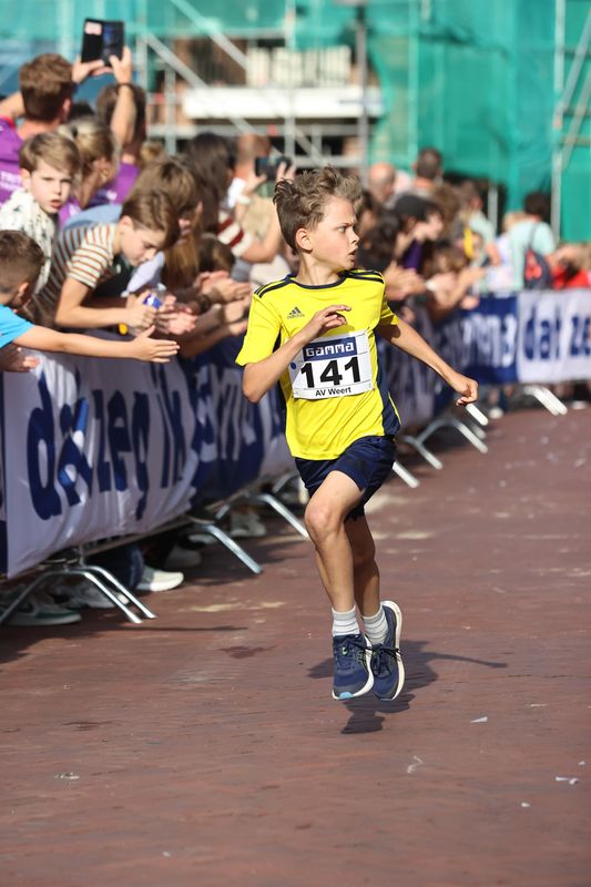 singelloop 20250113.jpg