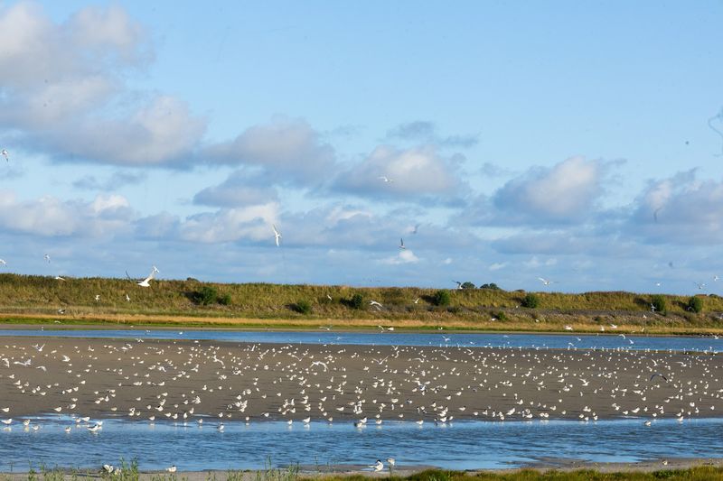 TEXEL Wagejot july 20250008.jpg