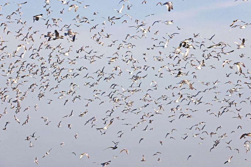TEXEL Wagejot july 20250023.jpg
