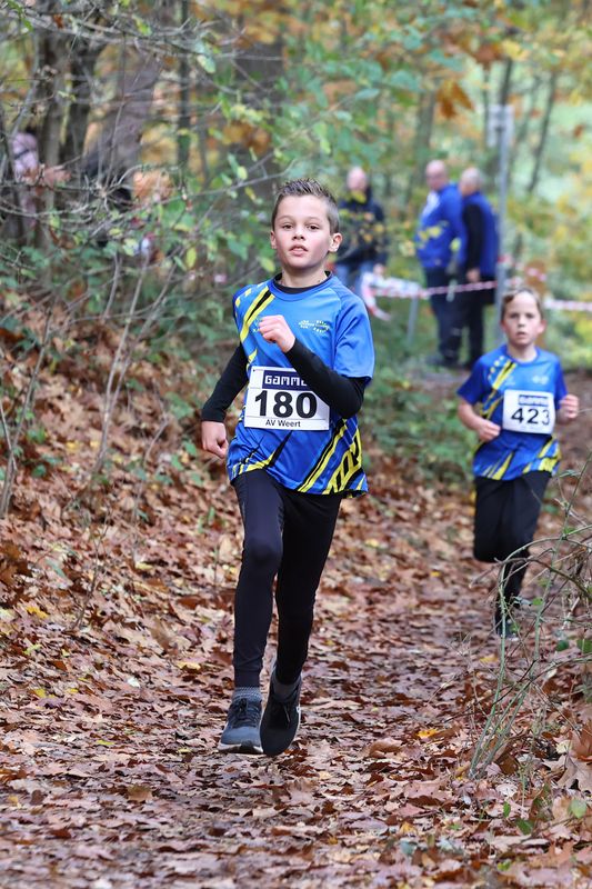 CROSS WEERT 26-10-20250301.jpg