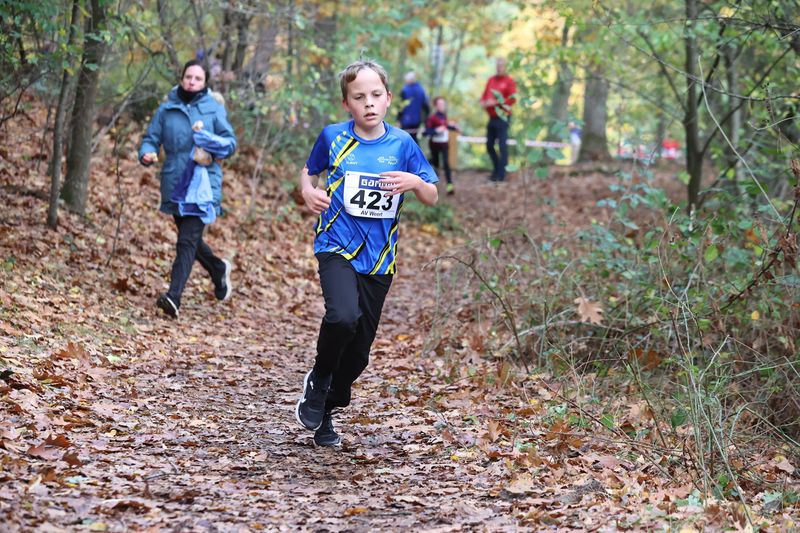 CROSS WEERT 26-10-20250302.jpg