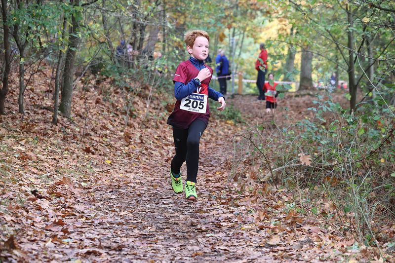 CROSS WEERT 26-10-20250303.jpg