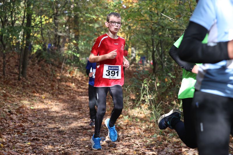 CROSS WEERT 26-10-20250309.jpg