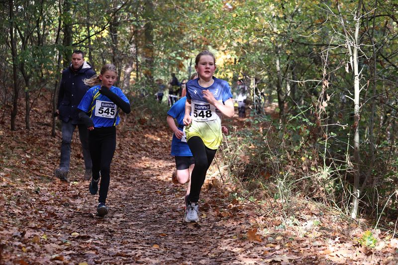 CROSS WEERT 26-10-20250329.jpg