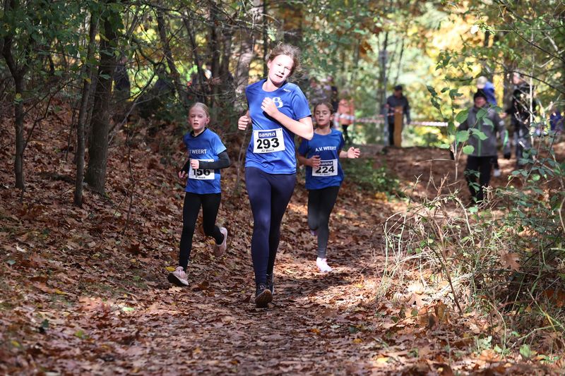 CROSS WEERT 26-10-20250330.jpg