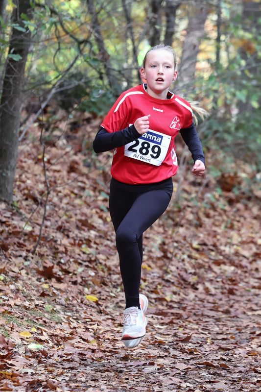 CROSS WEERT 26-10-20250332.jpg