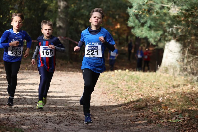CROSS WEERT 26-10-20250339.jpg