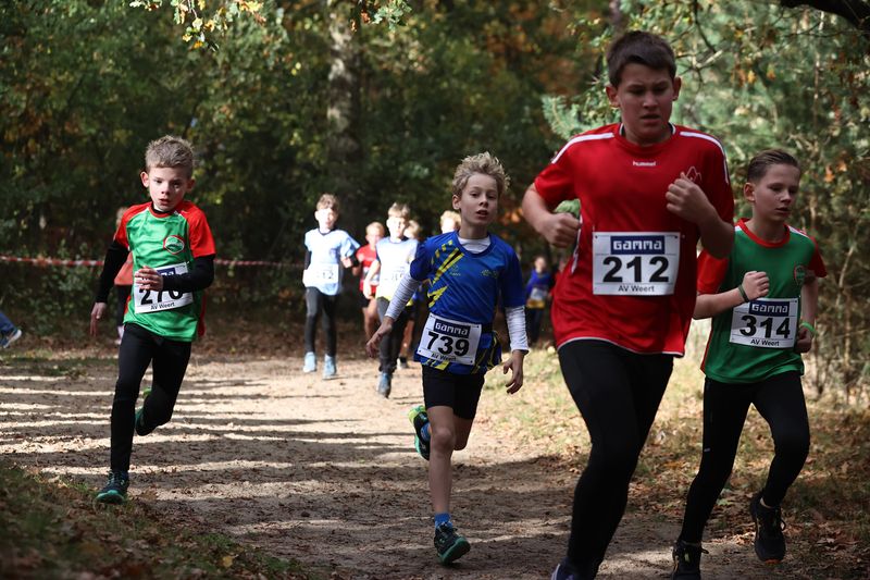 CROSS WEERT 26-10-20250344.jpg