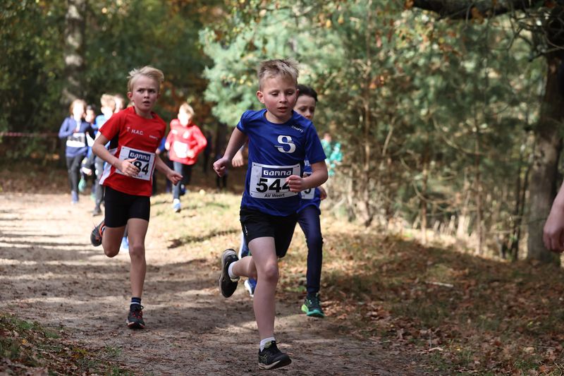 CROSS WEERT 26-10-20250346.jpg