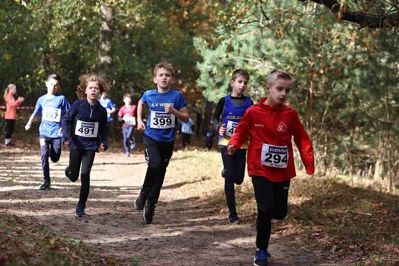 CROSS WEERT 26-10-20250347.jpg
