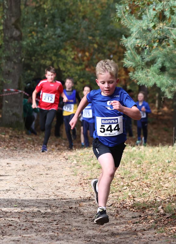 CROSS WEERT 26-10-20250370.jpg