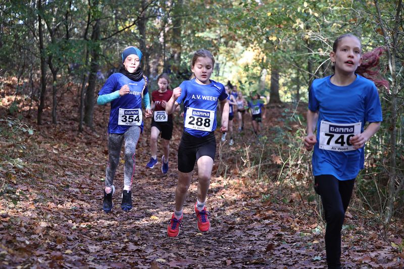 CROSS WEERT 26-10-20250386.jpg