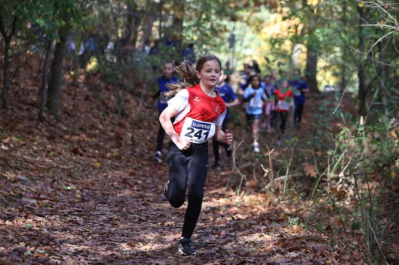 CROSS WEERT 26-10-20250396.jpg