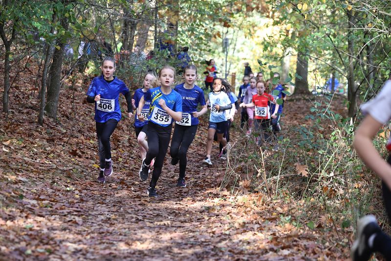 CROSS WEERT 26-10-20250397.jpg